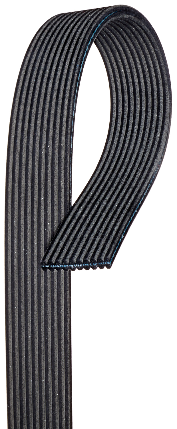 Serpentine Belt Gates DK100672
