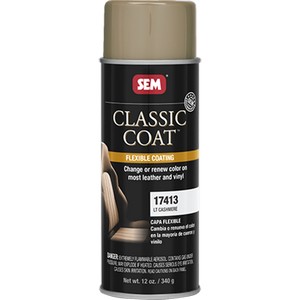 Paint SEM 17413