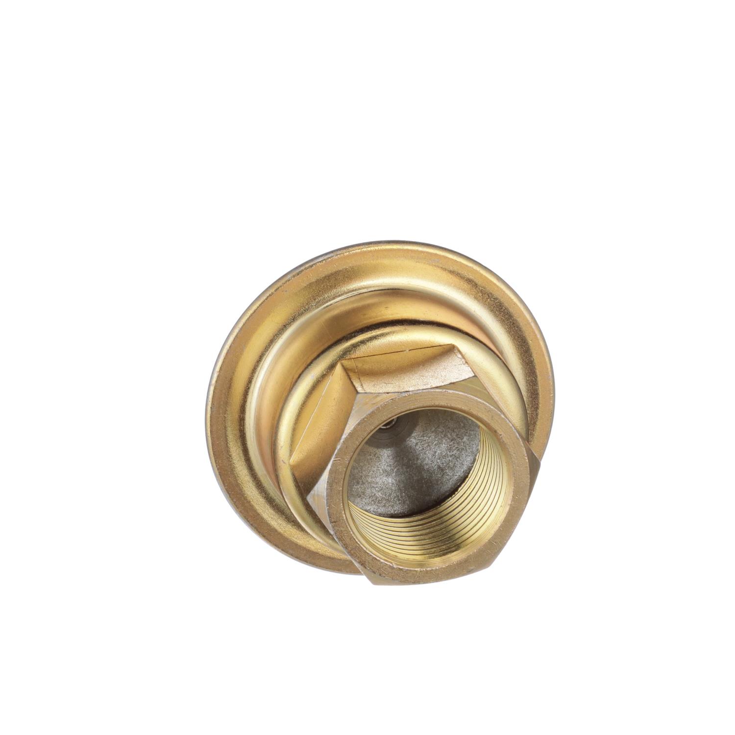 Secondary Air Injection Pump Check Valve Standard Ignition AV12