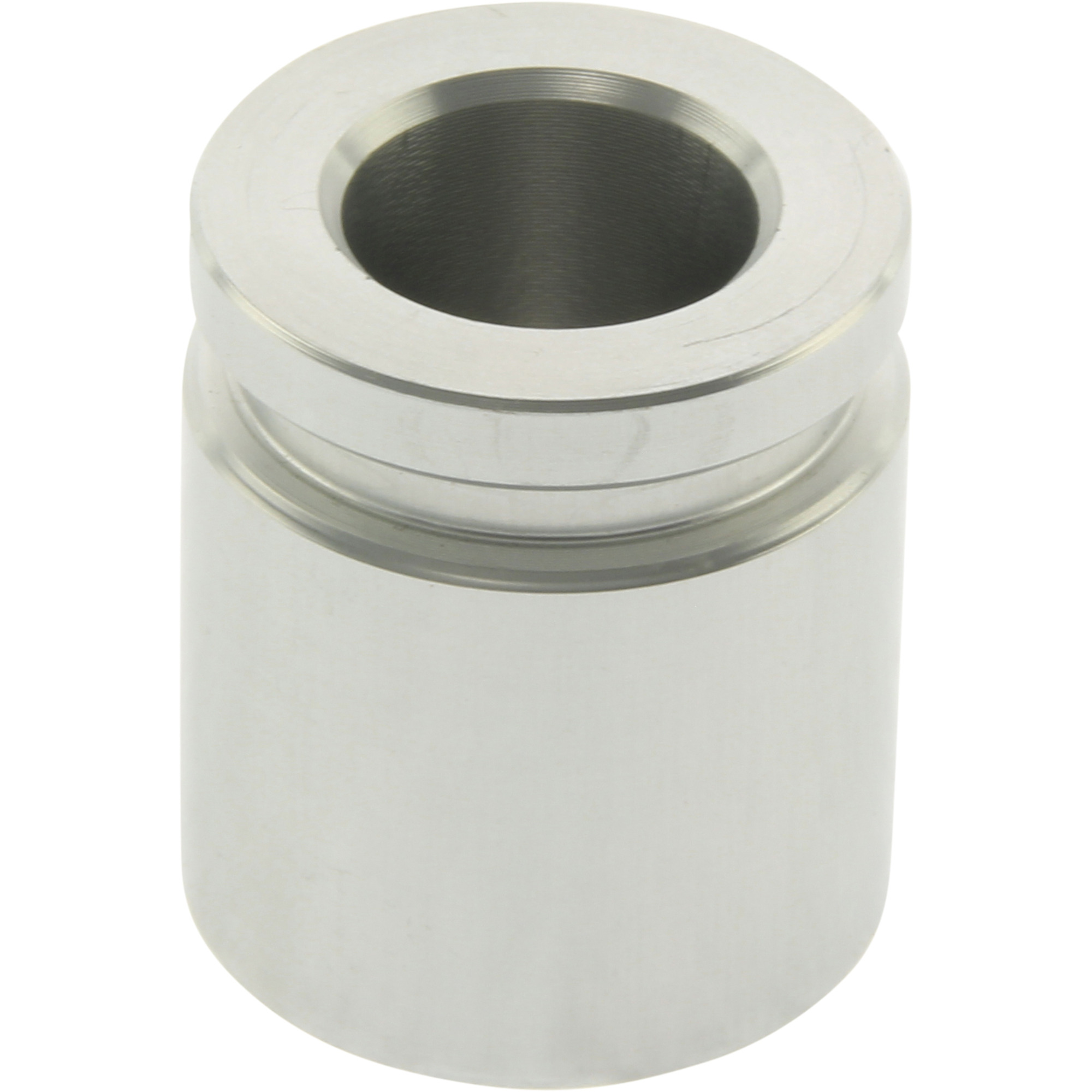 Disc Brake Caliper Piston Centric Parts 146.30019