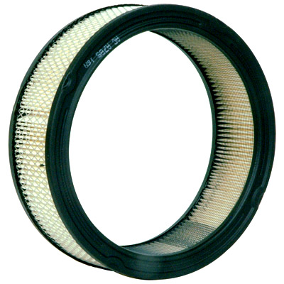 Engine Air Filter ACDelco A1163C