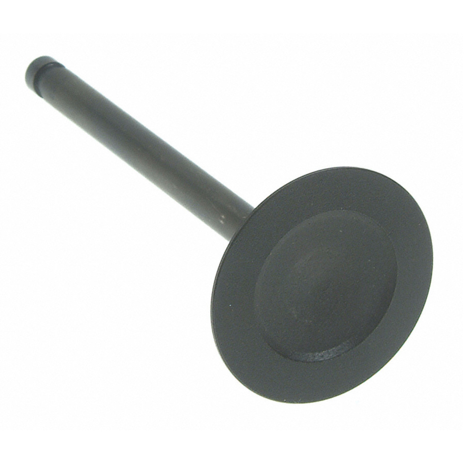 Engine Intake Valve Sealed Power V-2264