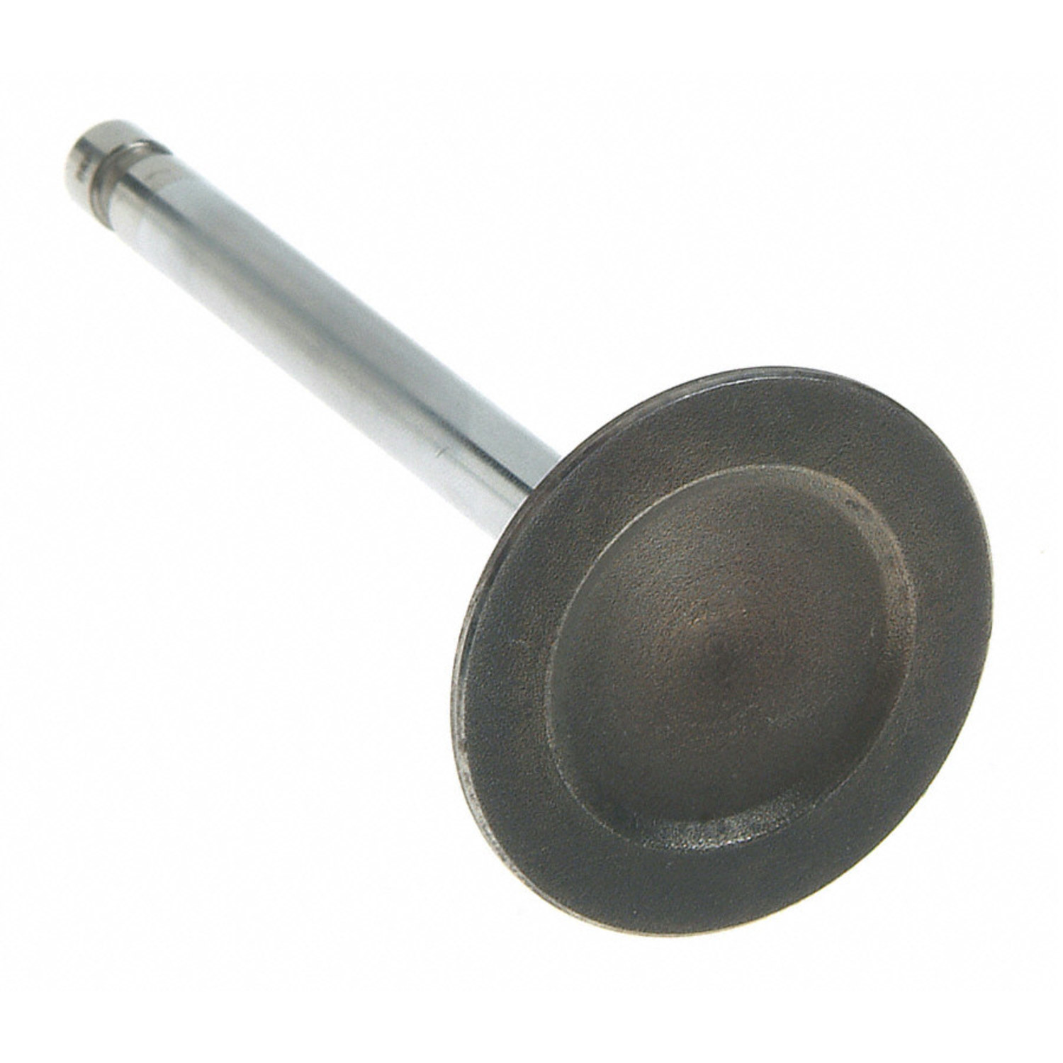 Engine Intake Valve Sealed Power V-2606