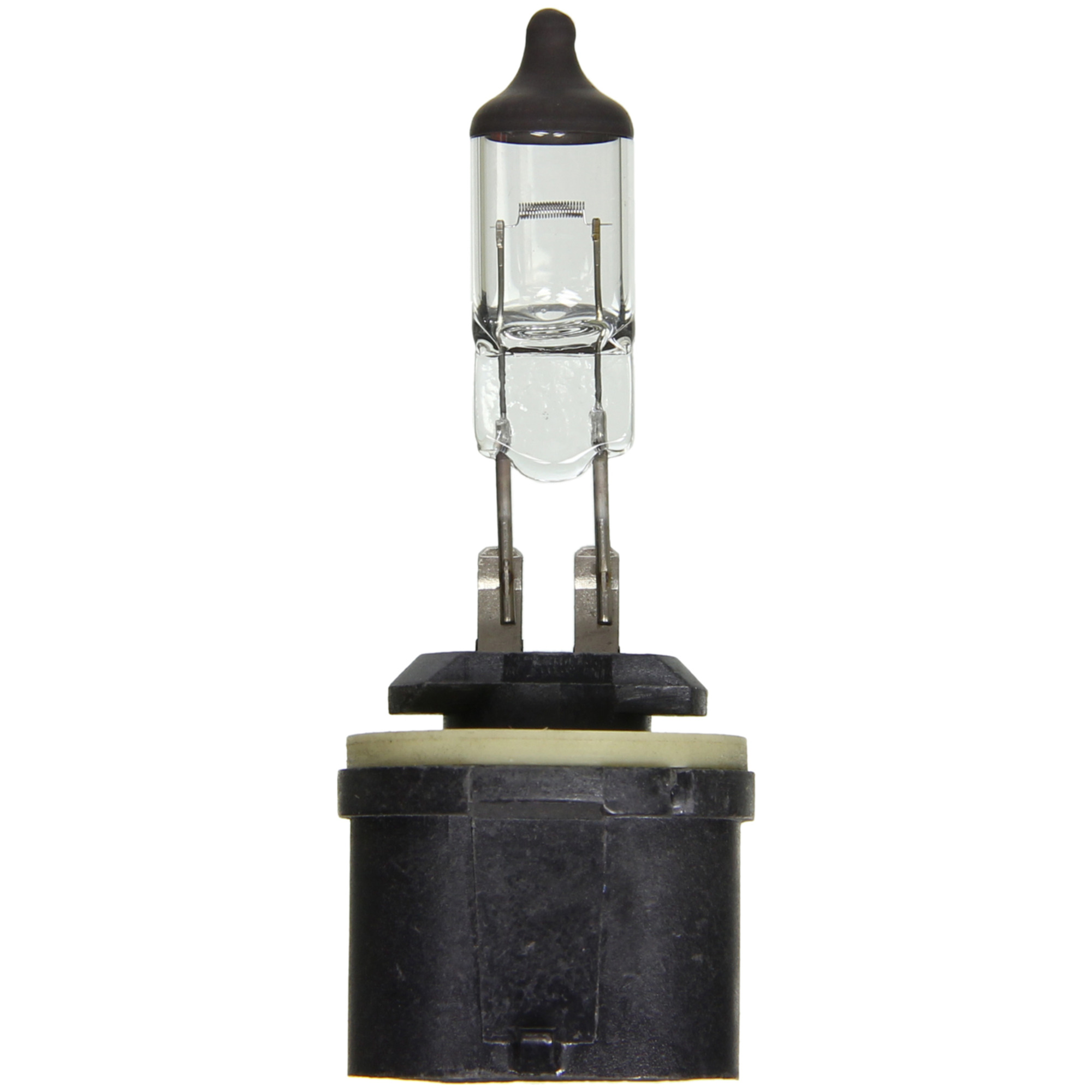 Multi-Purpose Light Bulb Wagner Lighting BP880