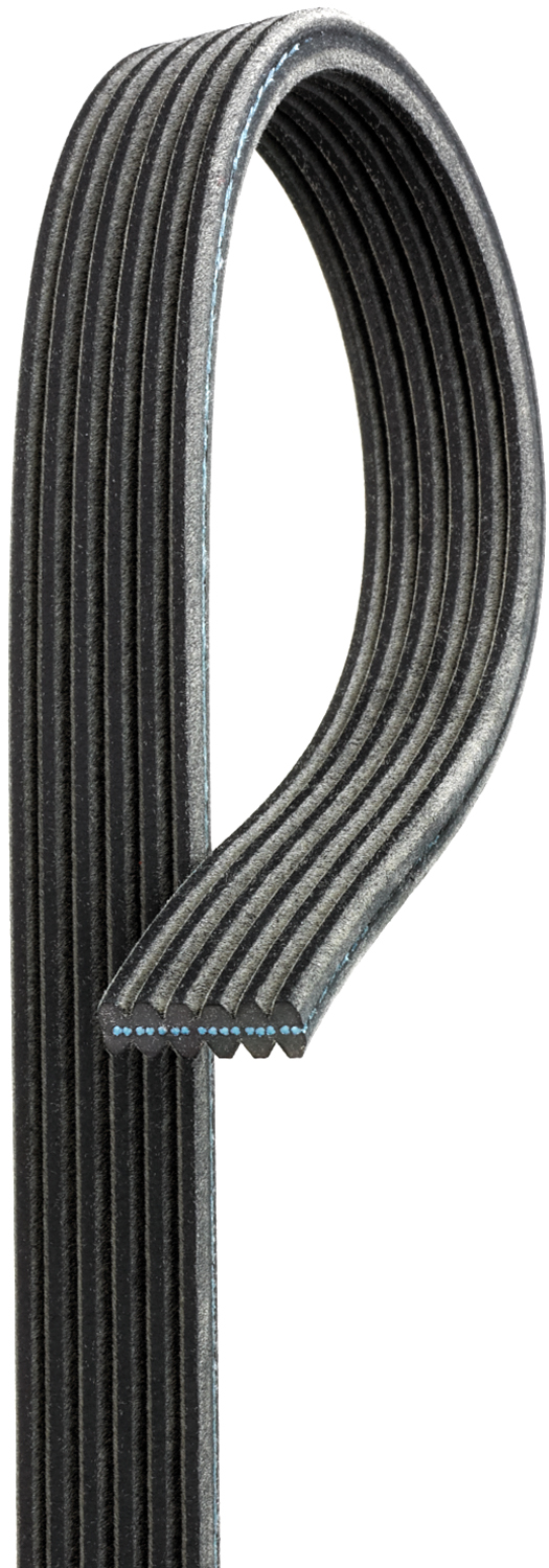 Serpentine Belt Gates DK060901