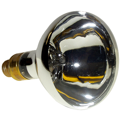 Multi-Purpose Light Bulb Tracer Products TP1210