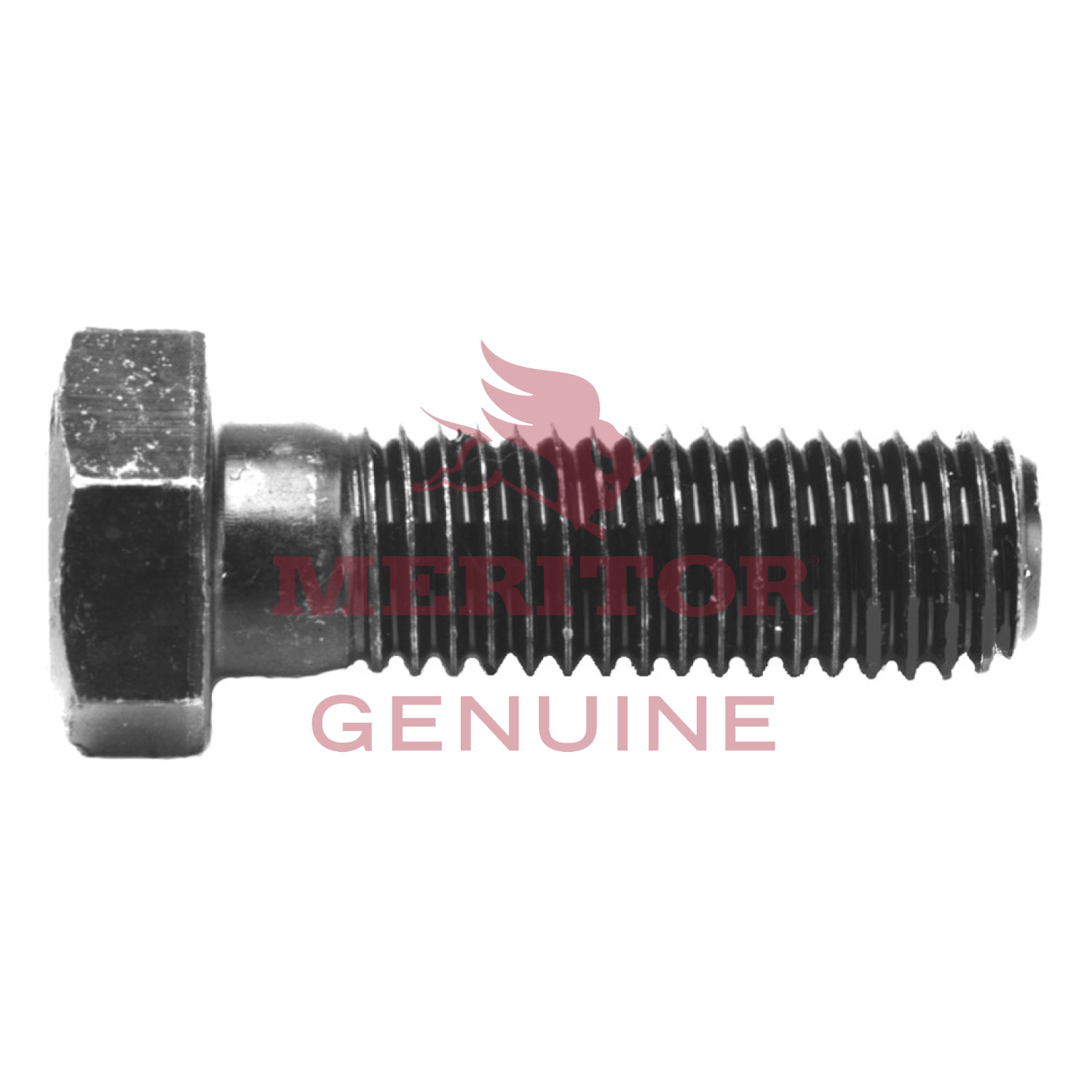Screw Meritor S265D