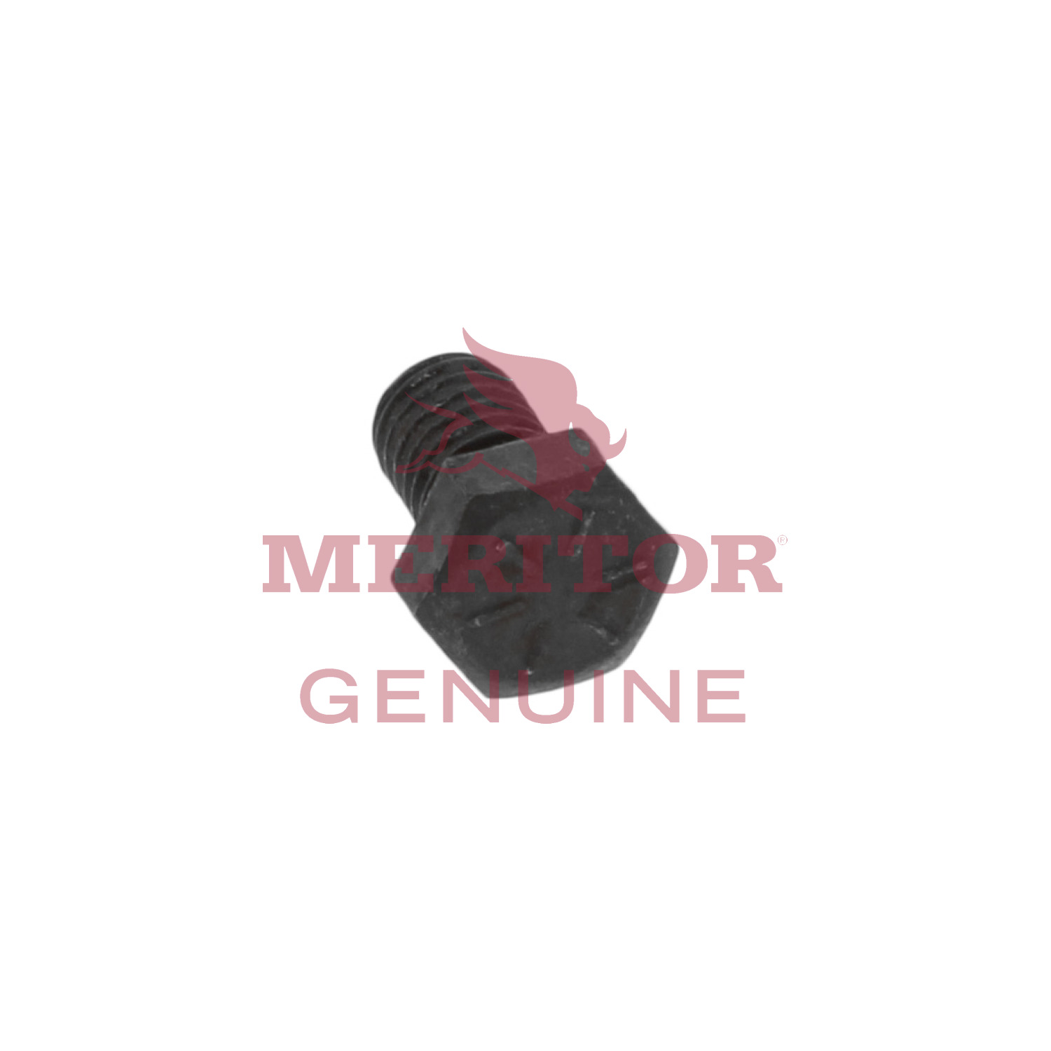 Screw Meritor S265A2
