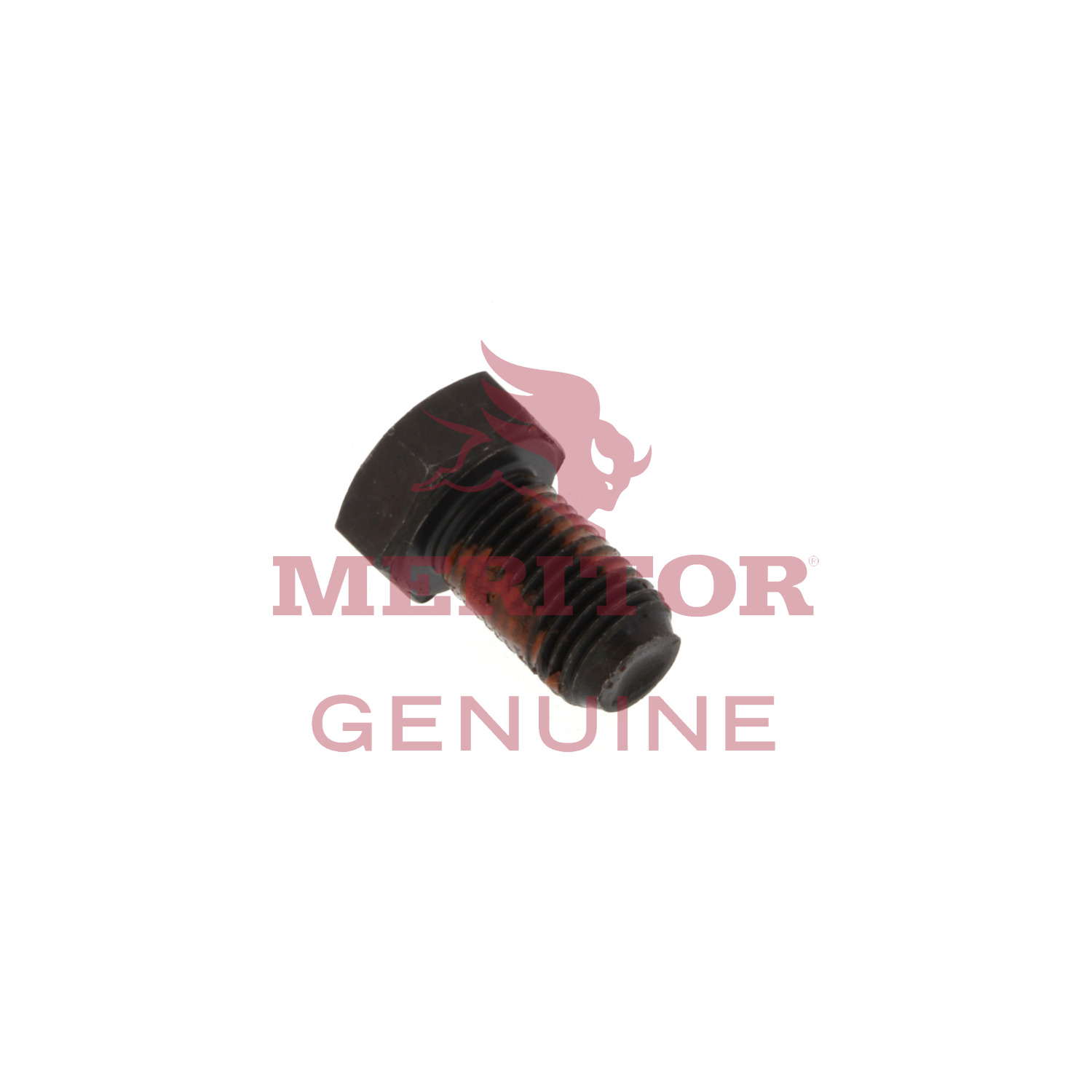 Bolt Meritor S165B2