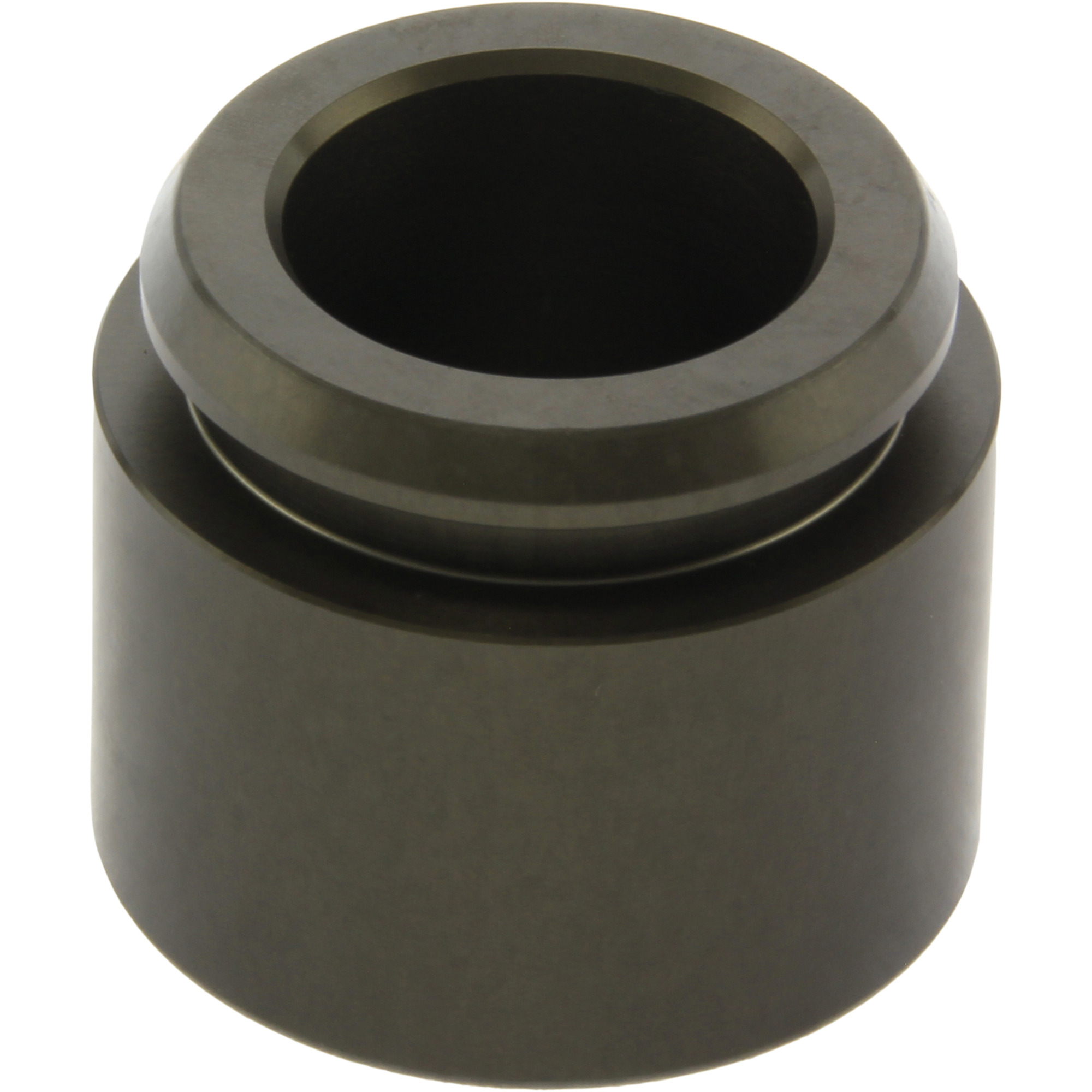 Disc Brake Caliper Piston Centric Parts 146.38053