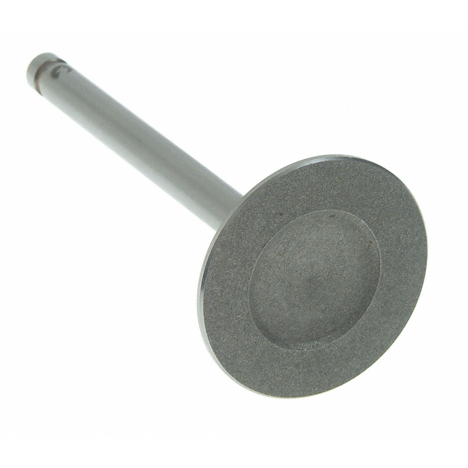 Engine Intake Valve Sealed Power V-1831