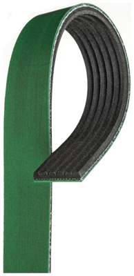 Serpentine Belt Gates K060516HD