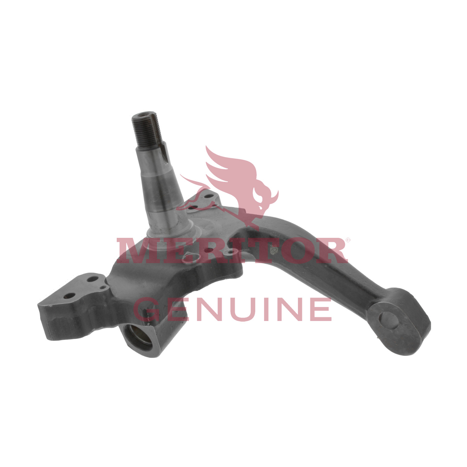 Steering Knuckle Meritor A3111J3858
