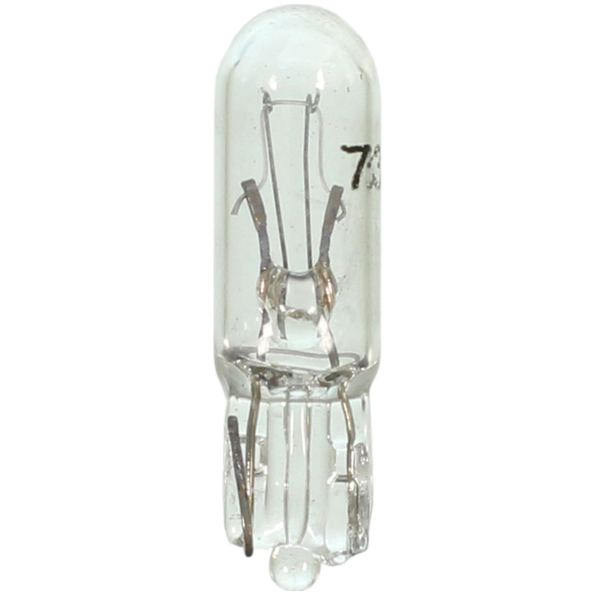 Multi-Purpose Light Bulb Wagner Lighting 73