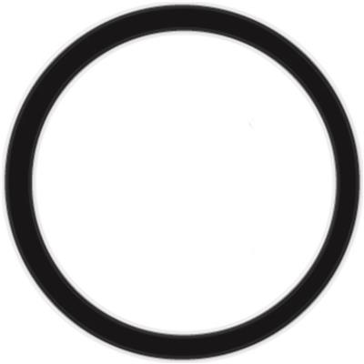 Engine Coolant Thermostat Seal Stant 27288