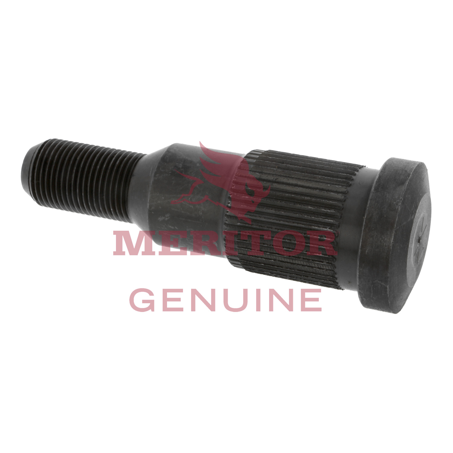 Stud Meritor 20X1598