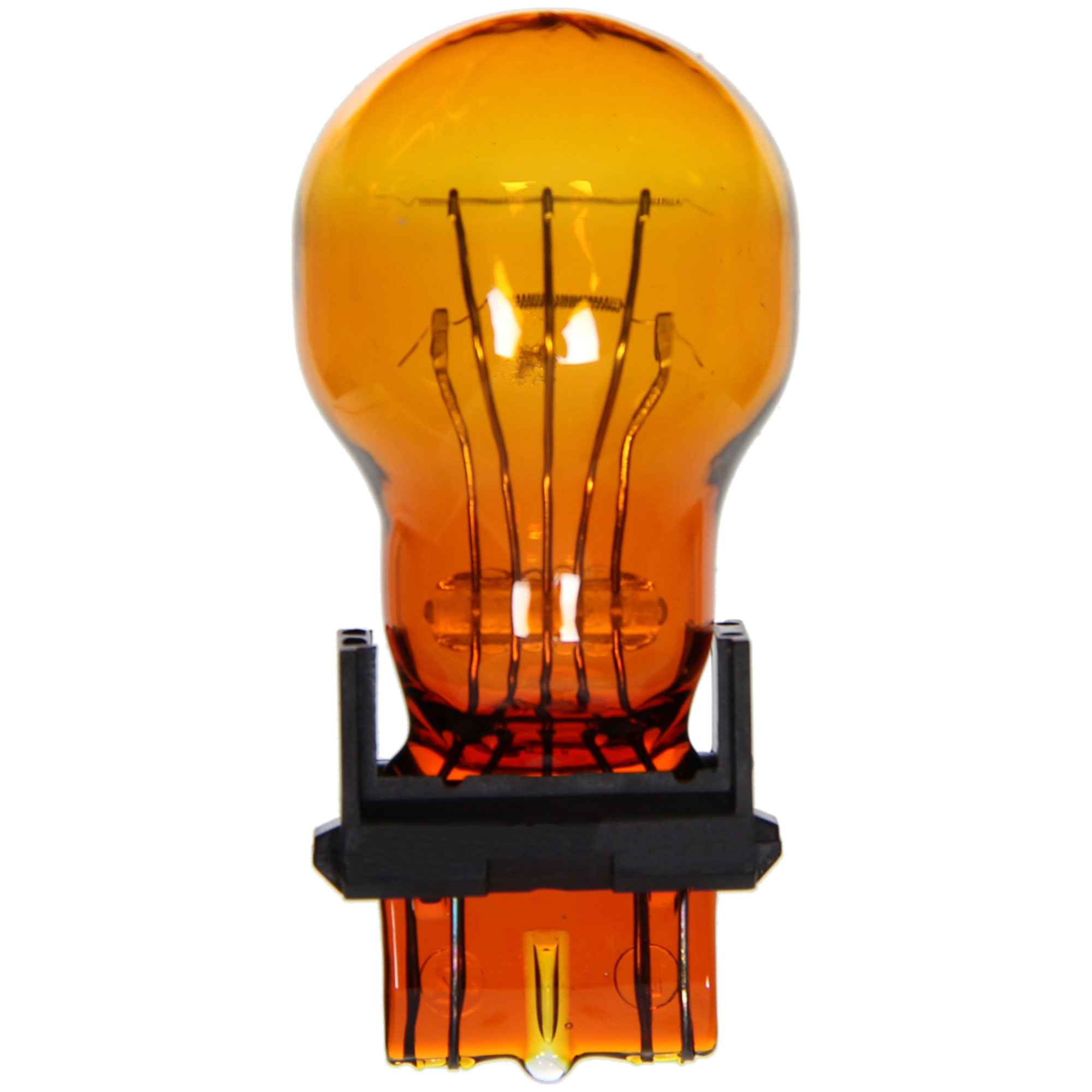 Multi-Purpose Light Bulb Wagner Lighting BP3457NA