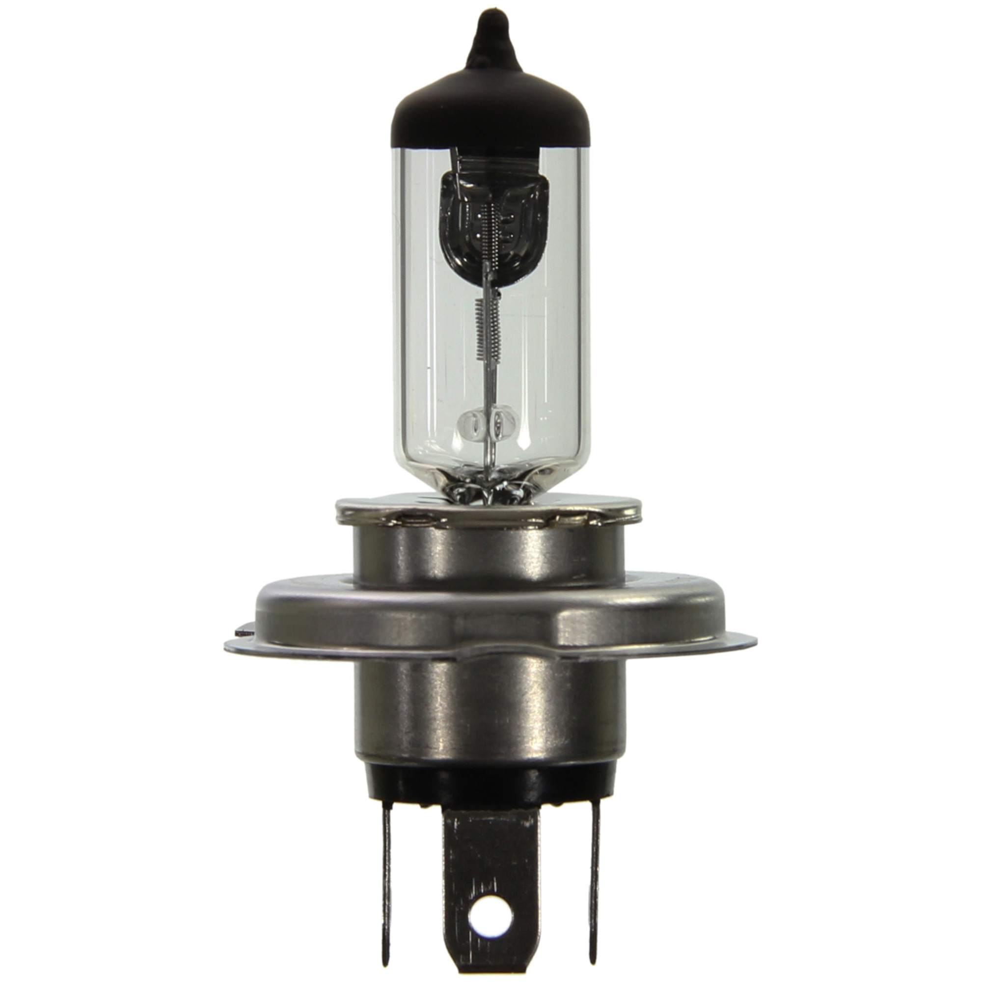 Multi-Purpose Light Bulb Wagner Lighting BP1213/H4