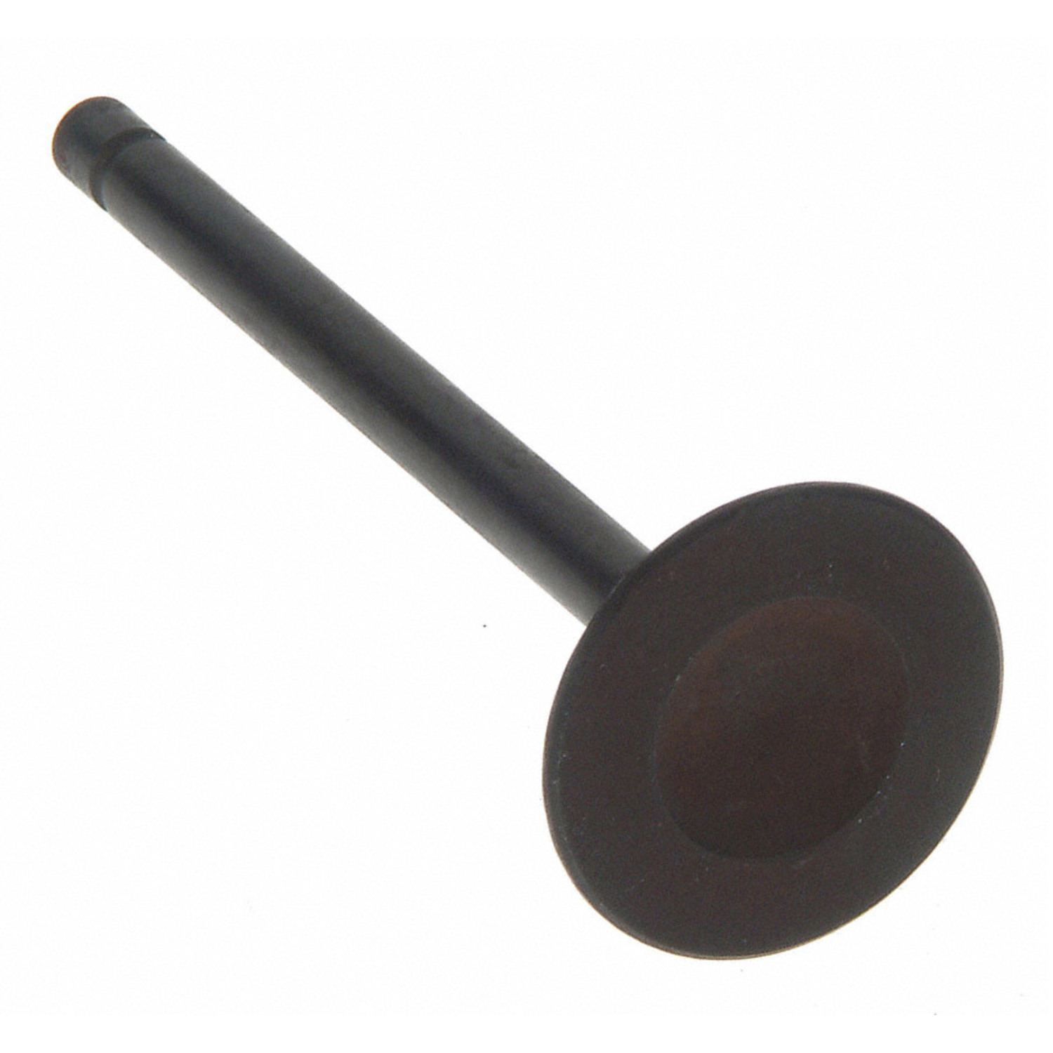 Engine Intake Valve Sealed Power V-2501