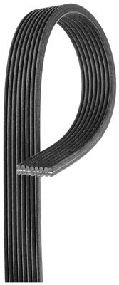 Serpentine Belt Gates DK080566