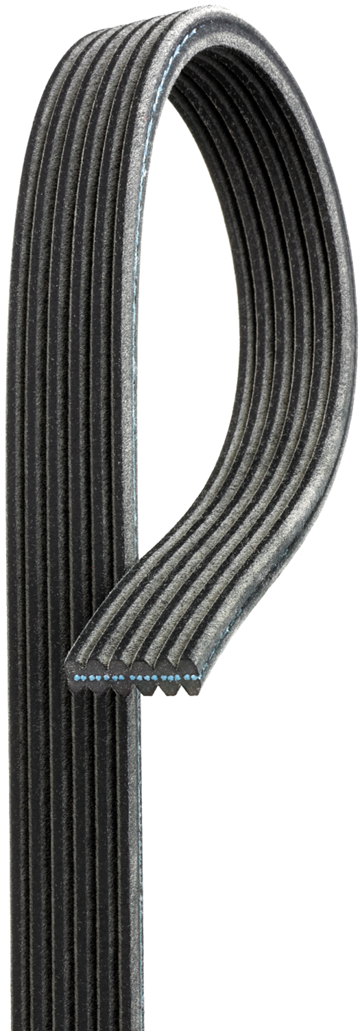 Serpentine Belt Gates DK060725