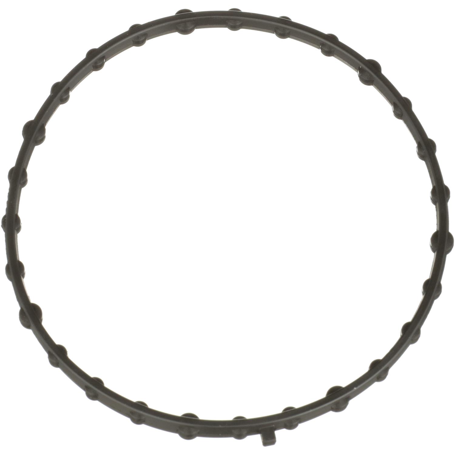 Fuel Injection Throttle Body Mounting Gasket Standard Ignition TBG141