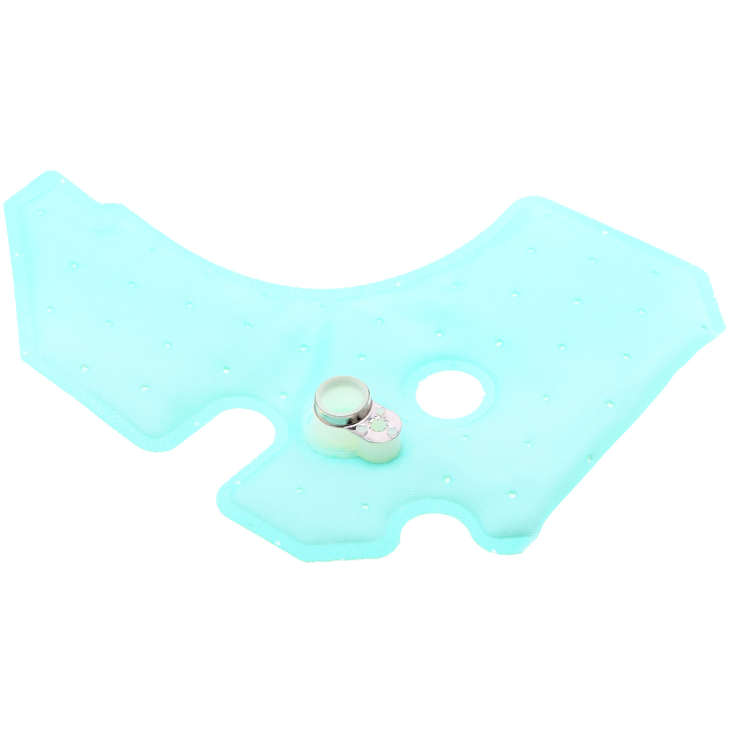 Fuel Pump Strainer Carter STS306