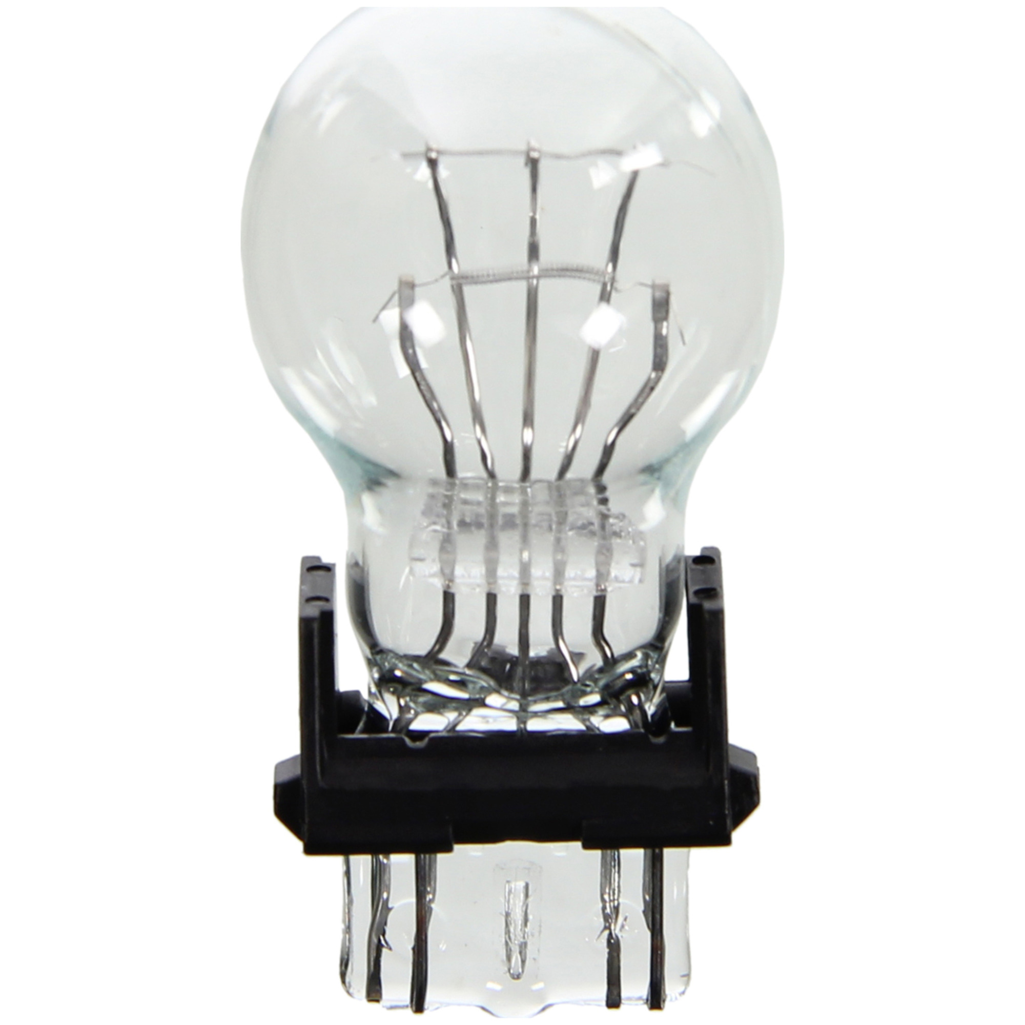 Multi-Purpose Light Bulb Wagner Lighting BP4157LL