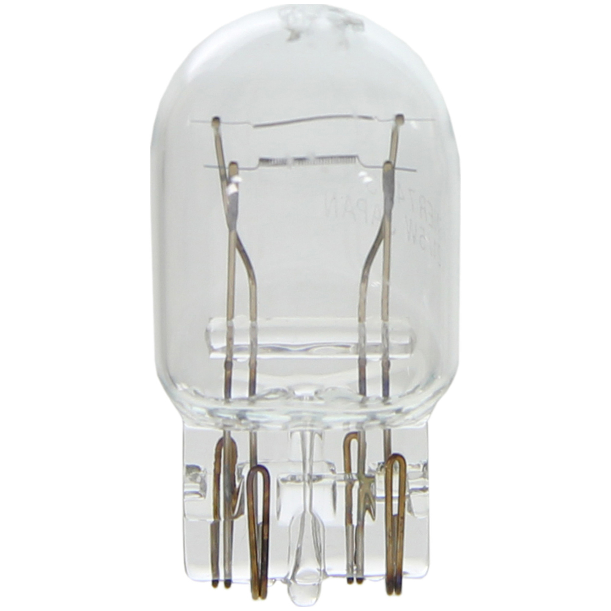 Multi-Purpose Light Bulb Wagner Lighting BP7443