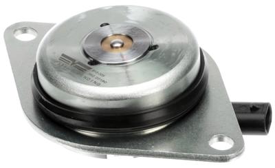 Engine Variable Valve Timing (VVT) Adjuster Magnet Dorman - OE Solutions 918-005