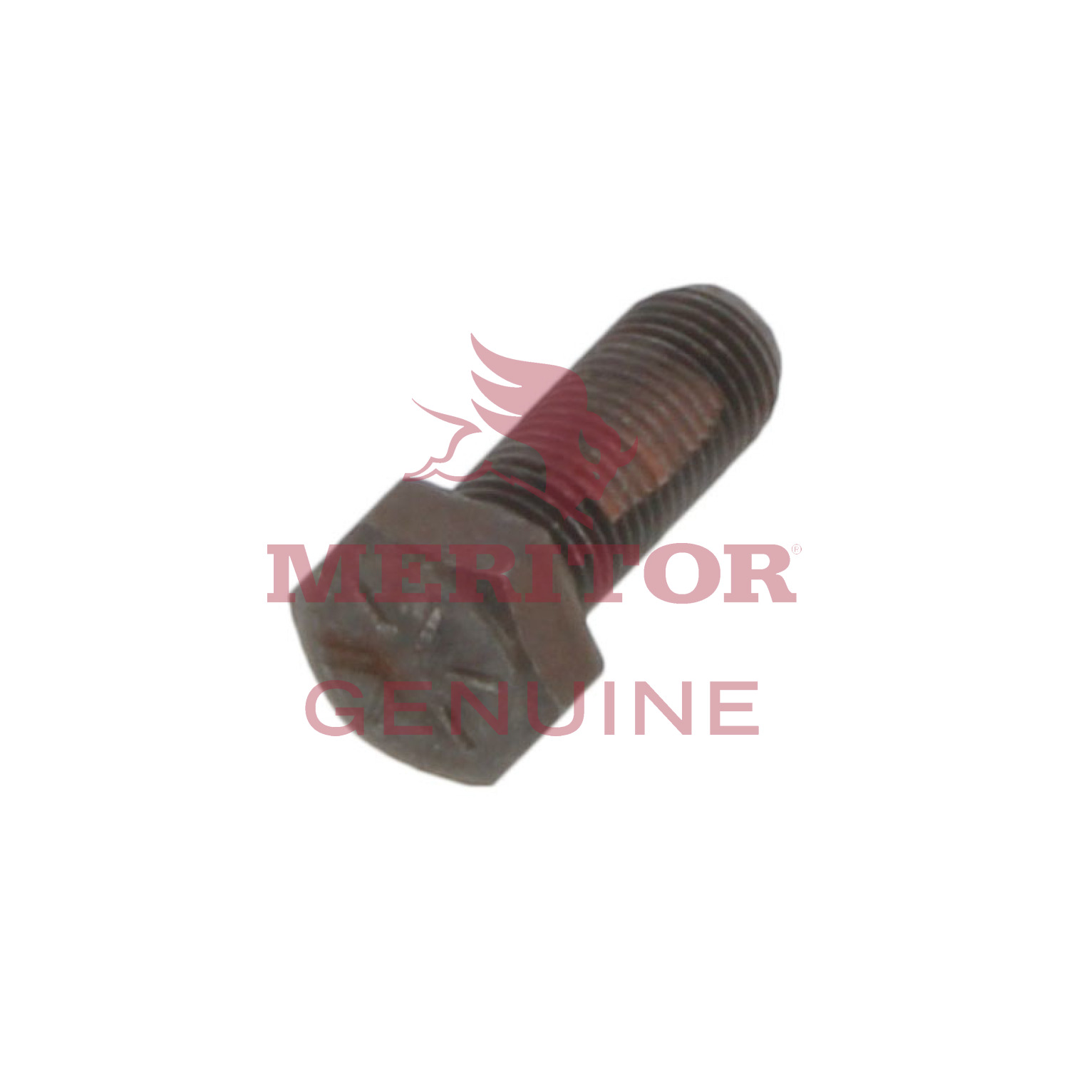 Screw Meritor S168A2