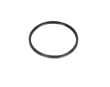 Fuel Line Seal Ring ACDelco 12511962