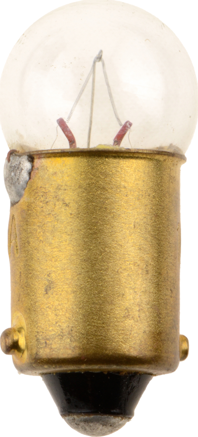 Tail Light Bulb Philips 1445B2