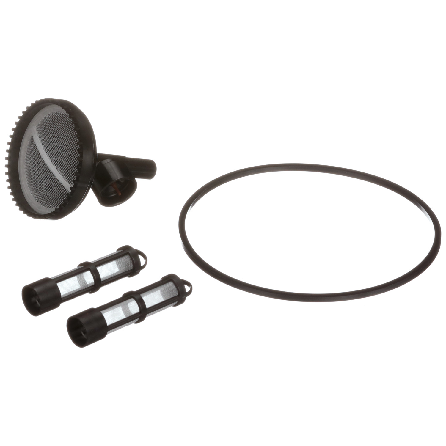 Fuel Pump Strainer Delphi FS0204