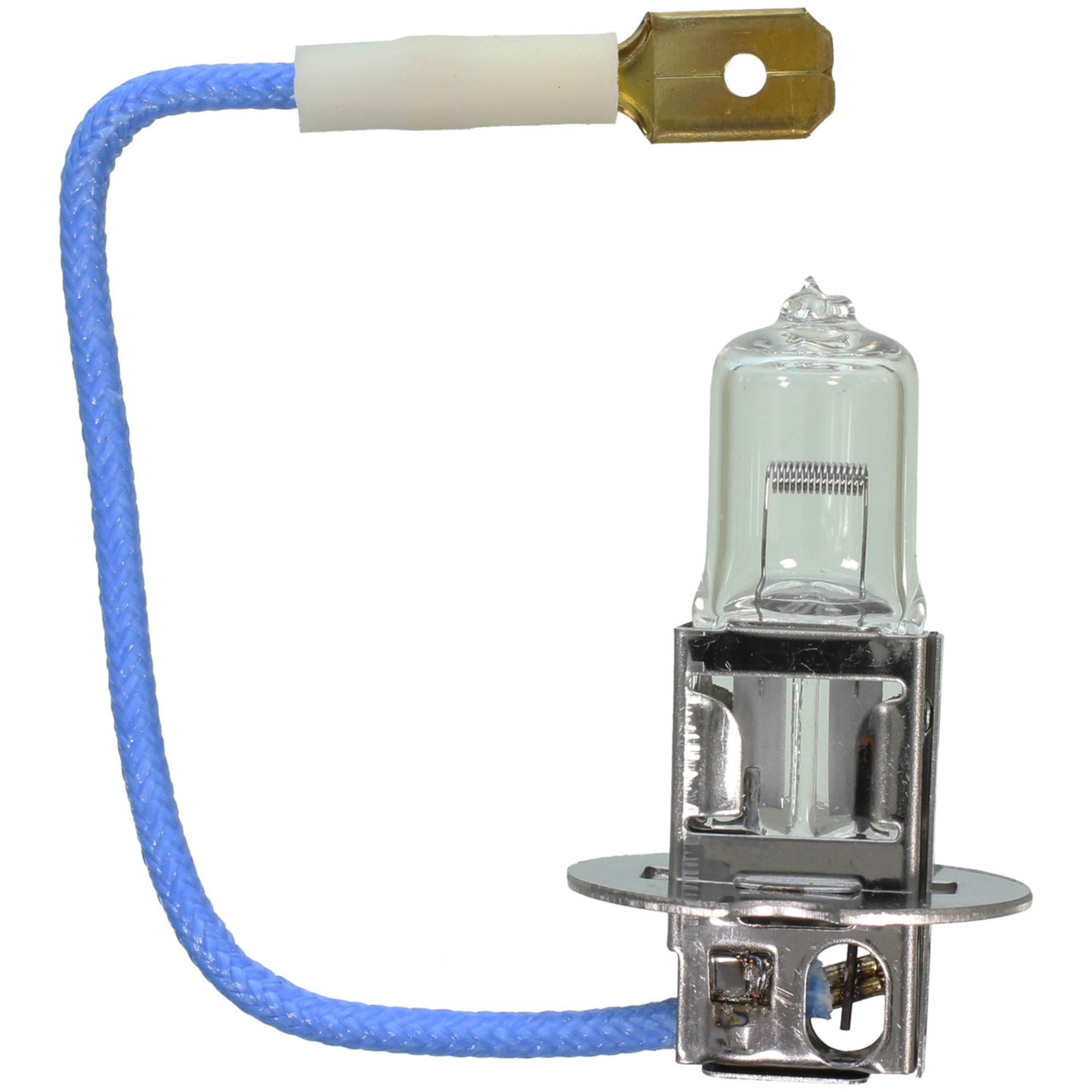 Multi-Purpose Light Bulb Wagner Lighting BP1210/H3