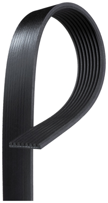 Serpentine Belt Gates K080400