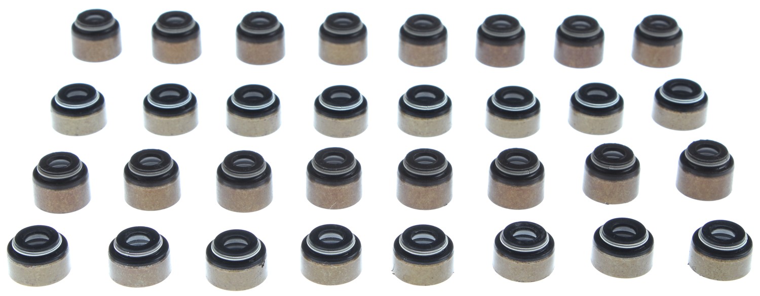 Engine Valve Stem Oil Seal Set MAHLE SS46109