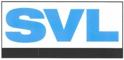 Drive Shaft Center Support Bearing SVL 210084-2XV