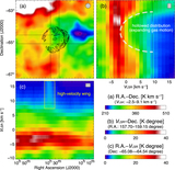 Image in this article