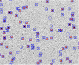 Image in this article