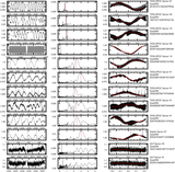 Image in this article