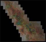 Image in this article