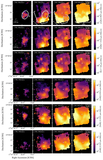 Image in this article