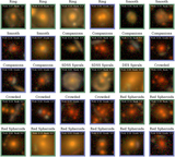 Image in this article