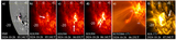 Image in this article