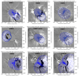 Image in this article