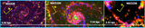 Image in this article