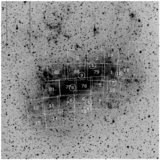 Image in this article