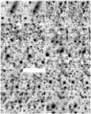 Image in this article