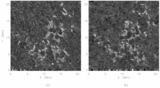 Image in this article
